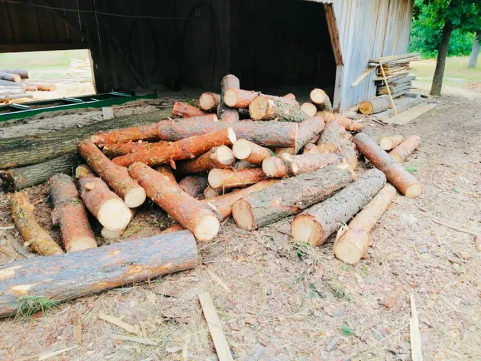 На Волині на приватній пилорамі знайшли незаконно зрізану деревину (фото)