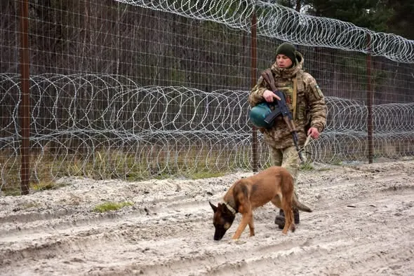 На Волині служить кінолог із собакою, який не любить мокрий сніг (фото)