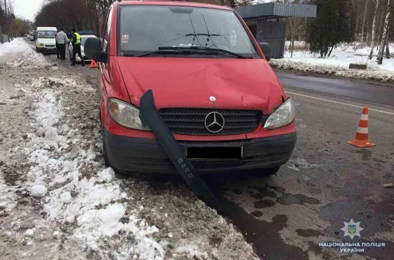 У Луцьку автомобіль збив дівчину, яка знехтувала «зеброю»