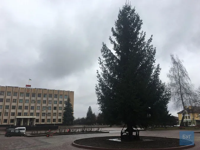 Дубль №2: у Нововолинську врешті встановили новорічну ялинку (фото)