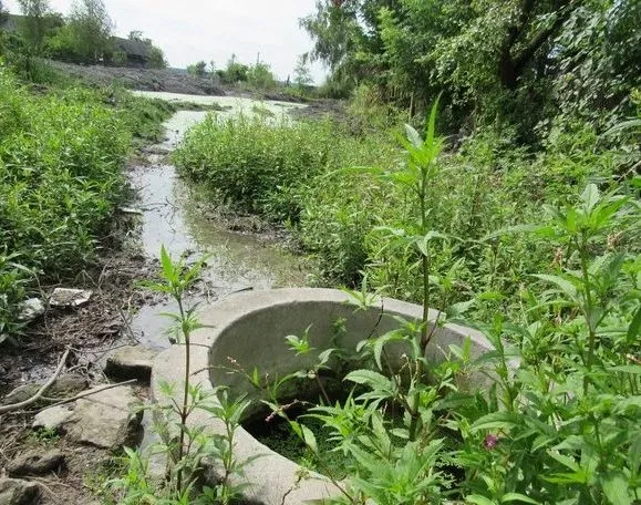 На Любомльщині хочуть облагородити територію біля річки Прип'ять