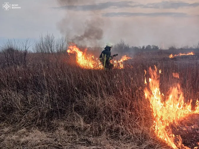 🔥Волинь палає: рятувальники досі намагаються приборкати стовпи вогню