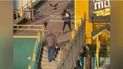 Б'ють дзьобами і крилами: у Києві ворони атакують клієнтів супермаркету (фото)