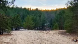 Де на Волині є «поліські дюни» (фото, відео)