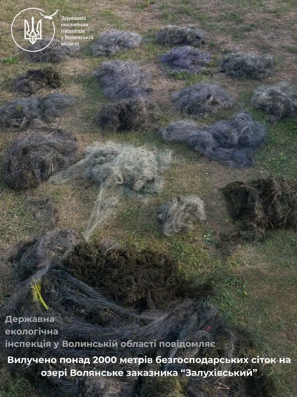 Понад 2 кілометри сіток: у заказнику на Ковельщині виявили браконьєрські знаряддя лову