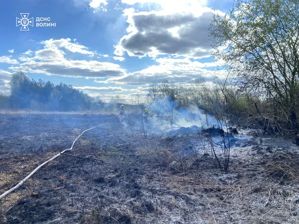 На Волині рятувальники за добу загасили 4 пожежі (фото)