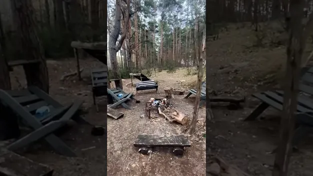 У лісі на Волині знайшли секретну землянку з піччю (відео)