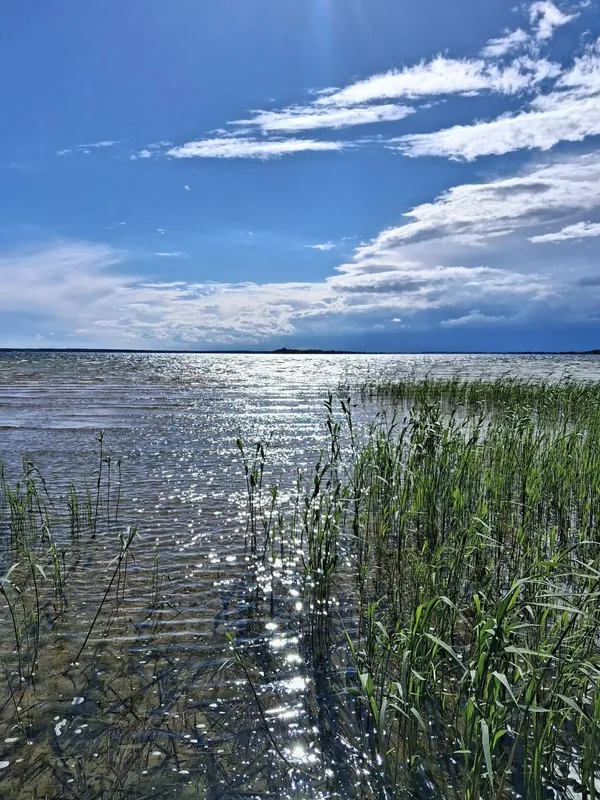 Світязь вразив незвичним видовищем: вода в озері стала схожою на рідке срібло (фото)