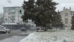 На Волині йде перший сніг (фото, відео)