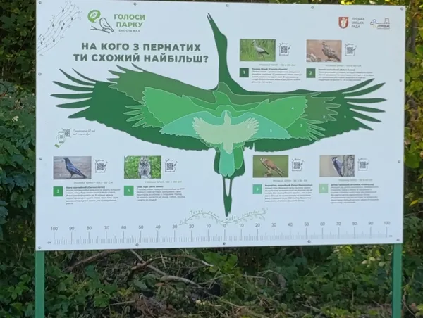 У Луцьку відкрили незвичайну екостежку: у парку можна почути голоси птахів, кажанів і бобрів (фото)
