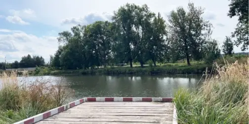 5-кілограмові коропи та спокій: чим приваблює озеро Татарка на Волині (фото)
