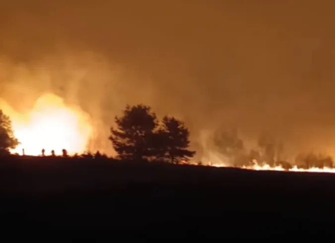 Палало кладовище: на Волині вирують жахливі пожежі (фото)