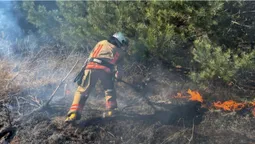 На Волині за добу згоріли майже 5 гектарів чагарників (фото)