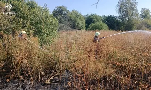 Горіли суха трава, чагарники, торф: на Волині загасили сім пожеж (фото)
