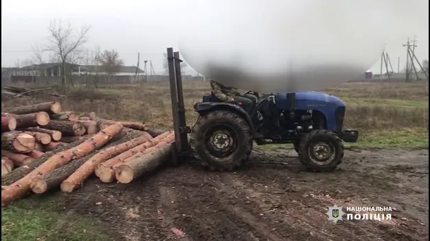 У Ківерцівському районі поліція виявила незаконну деревину (відео)