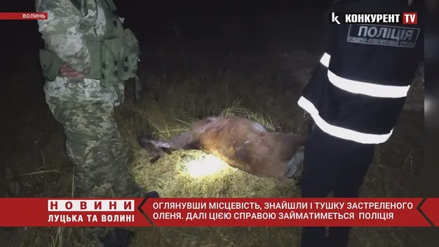 Закривавлений, мчав на квадроциклі: на Волині чоловіка запідозрили у вбивстві оленя (фото, відео)