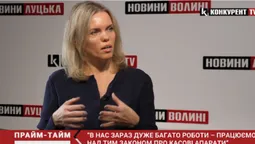 Як Верховна Рада України «заганяє» підприємців у тінь (відео)