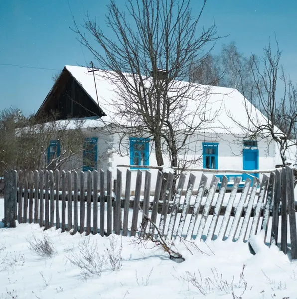 Як в дитинстві у бабусі: волинське село під покровом снігу (фото)