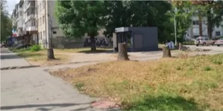 На Грушевського у Луцьку пустили під ніж «шість класних дерев» (фото)