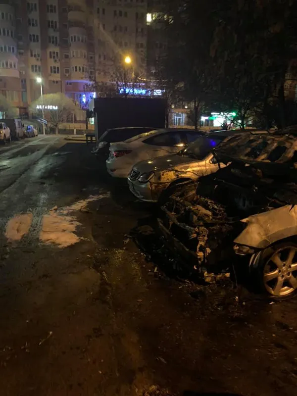 Співголові об'єднання «Батьки SOS» спалили автомобіль (фото)