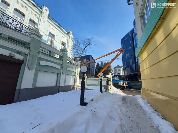 У центрі Луцька зрізали здорове дерево, щоб врятувати квартиру від підтоплення (фото)