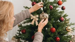 Скільки у Луцьку коштують штучні ялинки