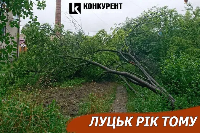 Луцьк рік тому: позов Рачкова та поламане дерево