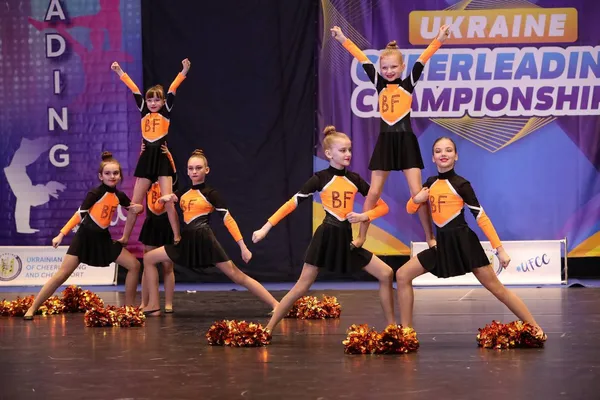 Black Fox Minis