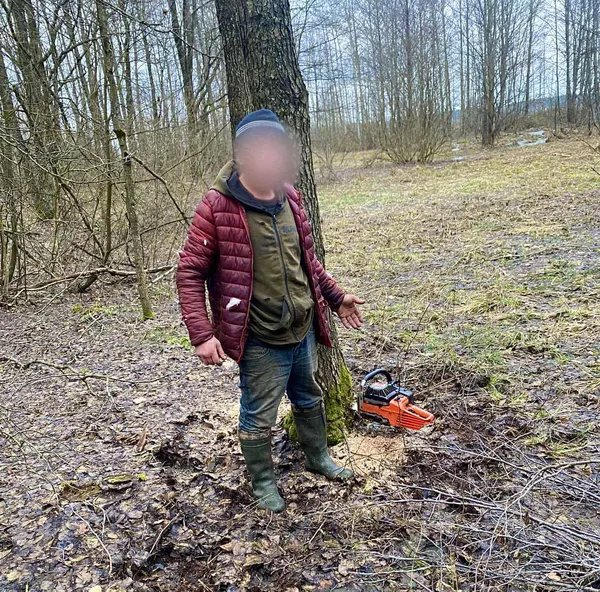 На Ковельщині в лісі зловили селянина, який рубав дрова (фото)
