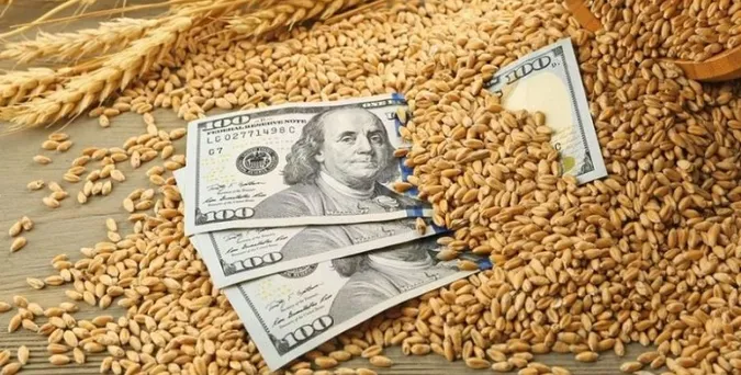 У Польщі обшукали 222 фірми у справі про ввезення зерна з України