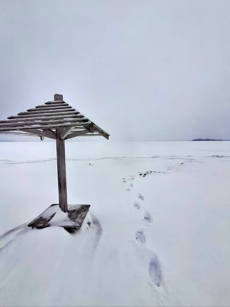 Космічні краєвиди: зима огорнула Світязь у білосніжну ковдру (фото)