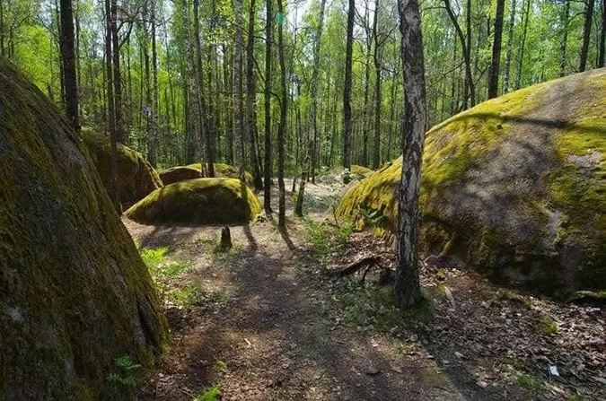 Люди стали валунами: у лісах Полісся ховається містичне місце, де є камінь зі слідом Божої стопи (фото)