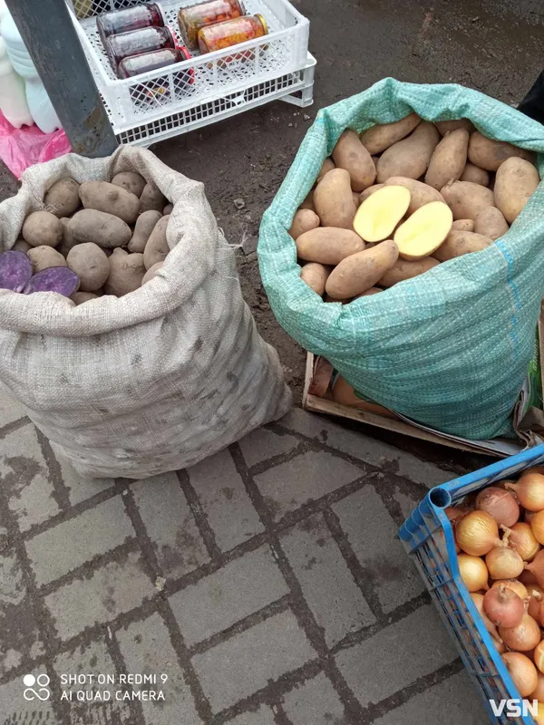 Скільки коштує картопля на луцьких ринках