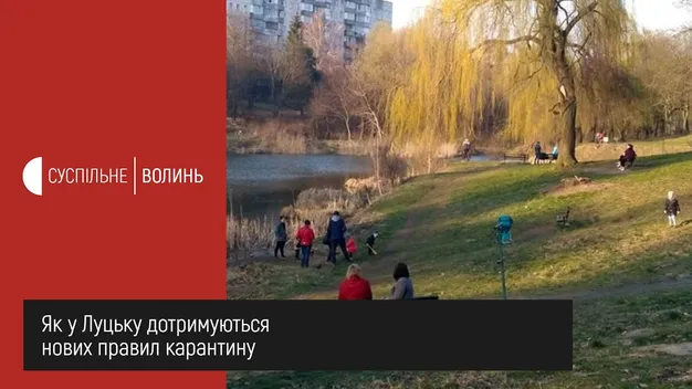 Як лучани дотримуються карантину (відео)