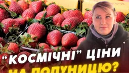 Смачна, але дорога: скільки просять за кілограм полуниці на ринку в Луцьку (відео)
