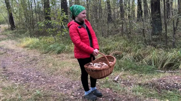 230 гривень за кілограм білих: як волиняни заробляють на грибах (фото)
