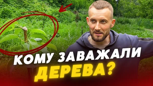 У Луцьку невідомі знищили фруктовий сад, який посадив відомий блогер (відео)