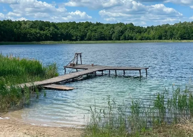 Дно, як на долоні: серед густого лісу на Волині заховане глибоке озеро з кришталево чистою водою (фото)