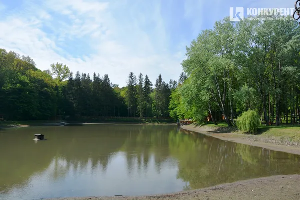 Посуха: ставки “волинської Швейцарії” помітно обміліли (ФОТО, ВІДЕО)
