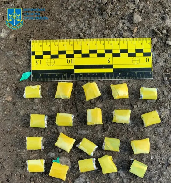 Отримав наркотики поштою: 18-річного лучанина кинули за ґрати на 9 років (фото)