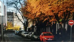 «Теплі» світлини: який він жовтогарячий осінній Луцьк