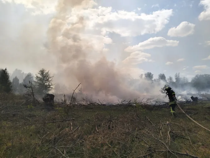 На Волині горіли господарська споруда, суха трава й чагарники (фото)