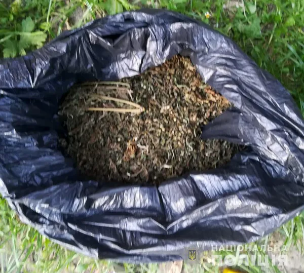 У гаражі лучанина знайшли наркотики й три кілограми бурштину (фото)