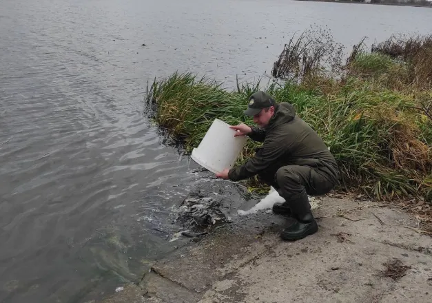 У Ковельське водосховище запустили майже тонну риби (фото)