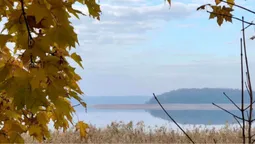 П'яте після Світязя: на Волині серед лісу причаїлось багате на рибу озеро (фото)