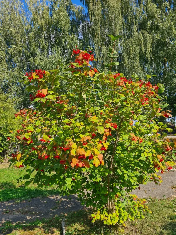 Луцьк у вихідний під теплим осіннім небом (фото)