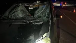 Під Луцьком вночі Ford збив на смерть 72-річного велосипедиста (фото)