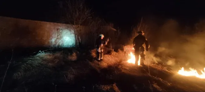 На Волині вночі ледь не згорів дачний масив (фото)