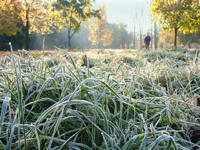 На Волині прогнозують сильні заморозки – ІІ рівень небезпеки