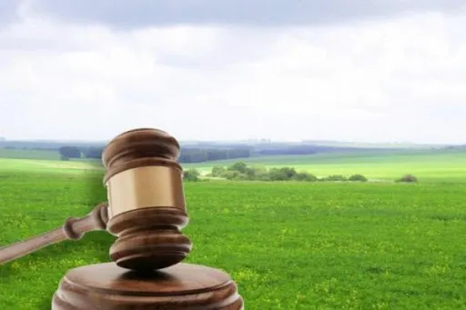 На Волині повернули громаді земельну ділянку за 2 мільйона